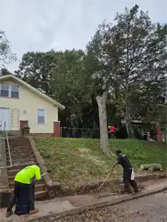 Tree Cutters Tree Professionals in Spartanburg